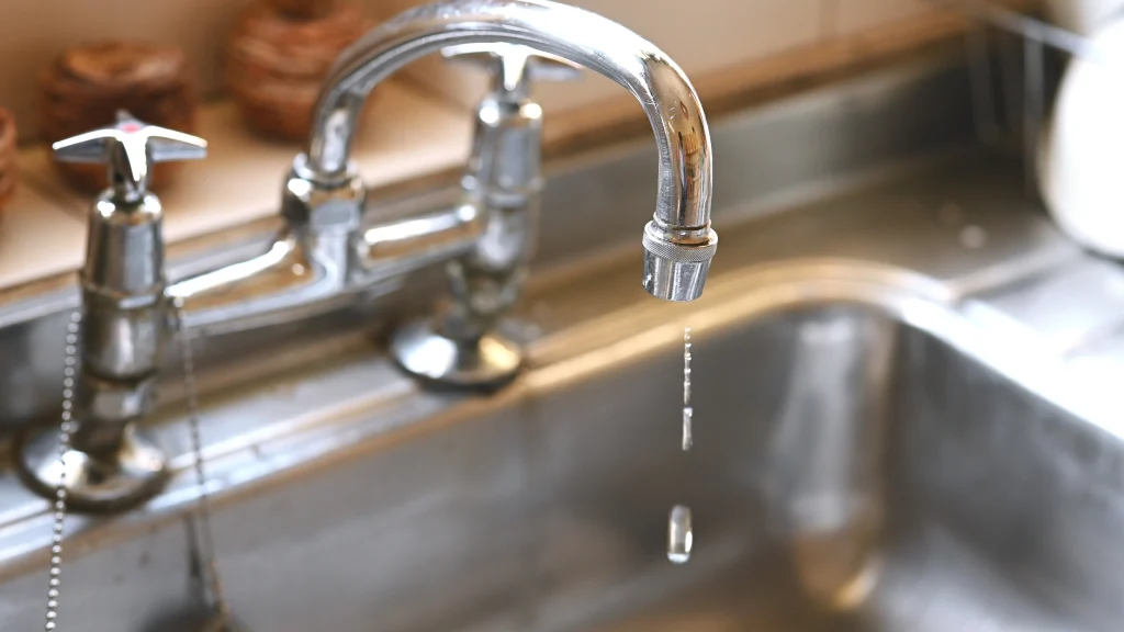 Faucet Replacement and New Fixture Installation